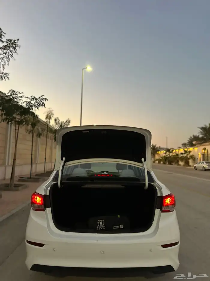 شانجان السفن وارد المجدوعي 2023 12