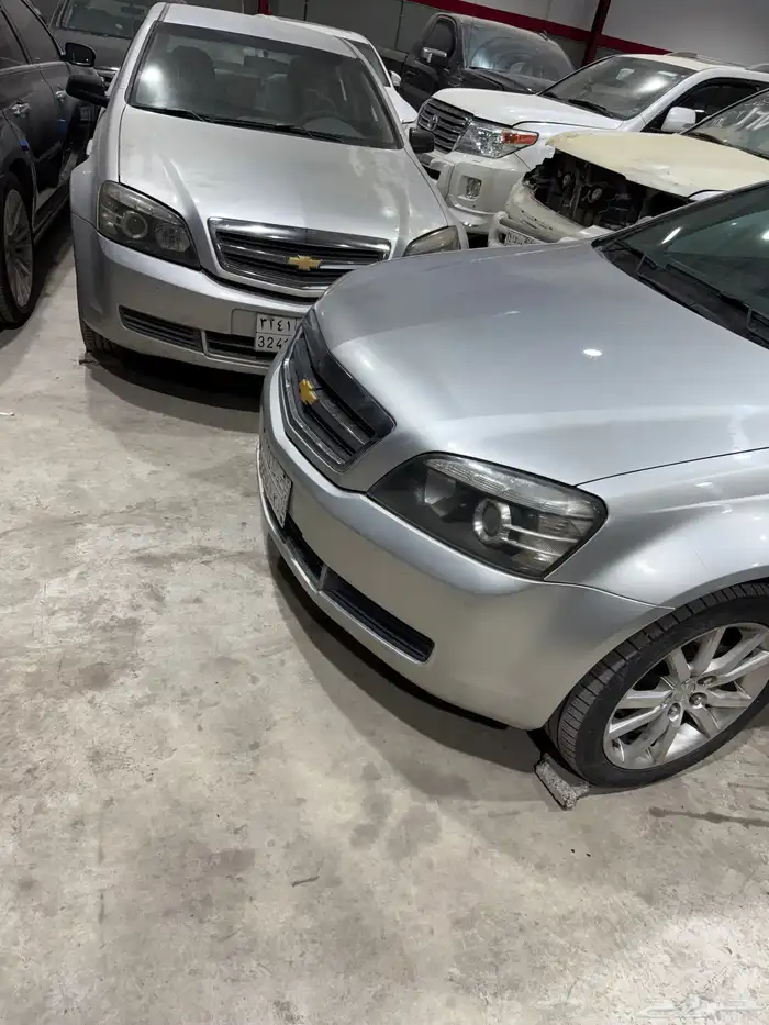 مكاين كابرس ضمان سنه 12