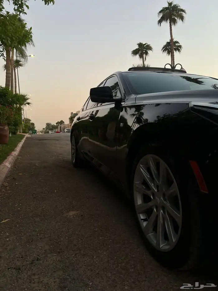 كاديلاك CT5 2023 فئة luxury 1