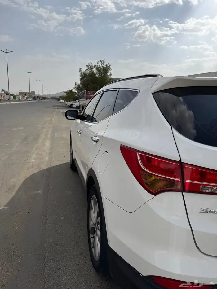 سنتافي 2014 6 سرندل 2