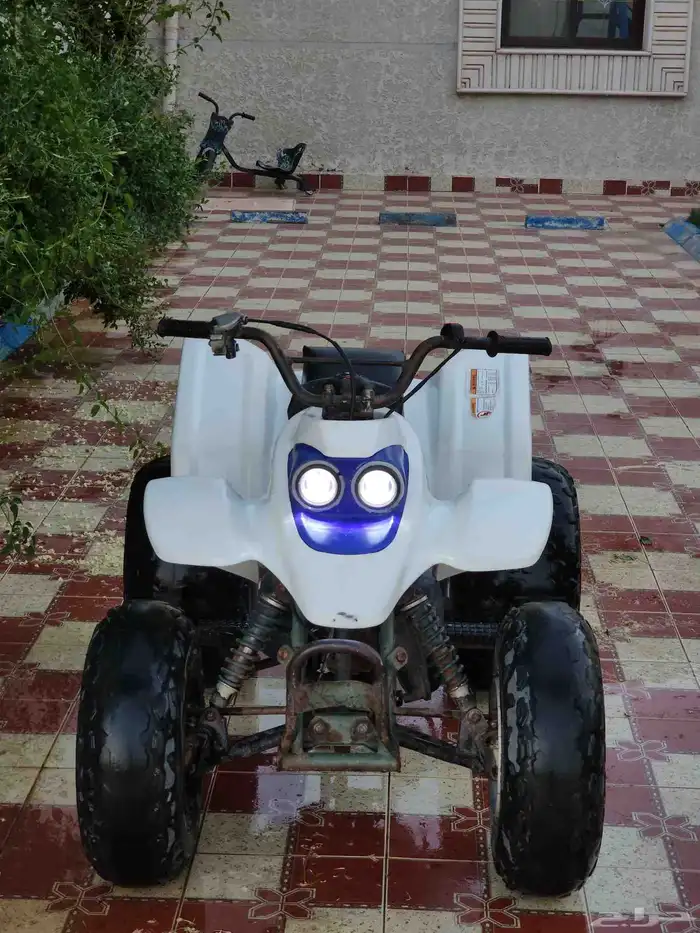 دباب 5