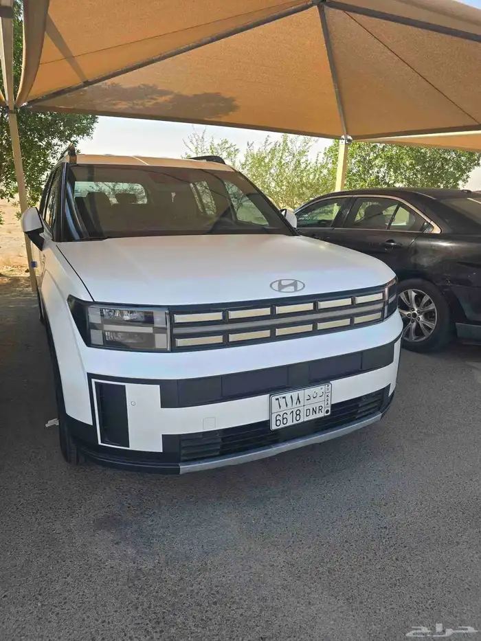 سنتافي 2024 0