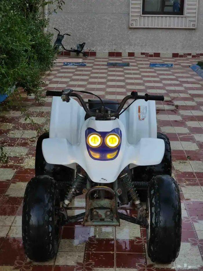 دباب 4