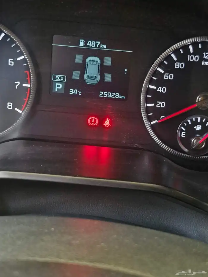 كيا تيلورايد بيع 21