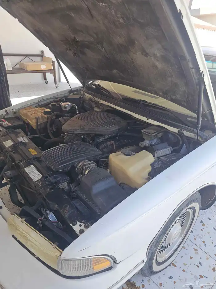 كابرس1996 ابيض 1