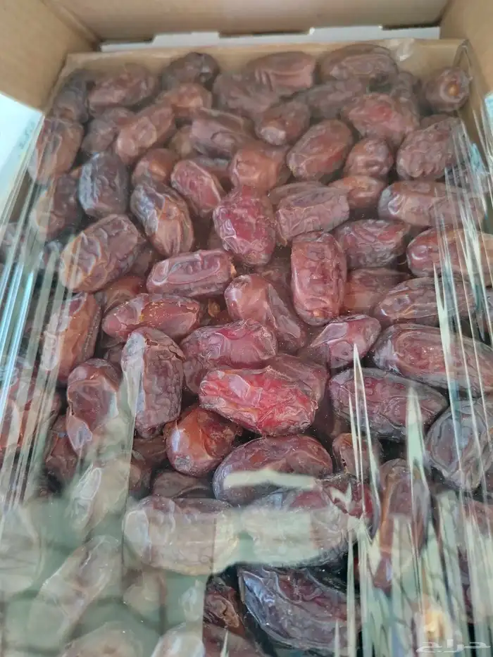 تمر صقعي وخضري 0