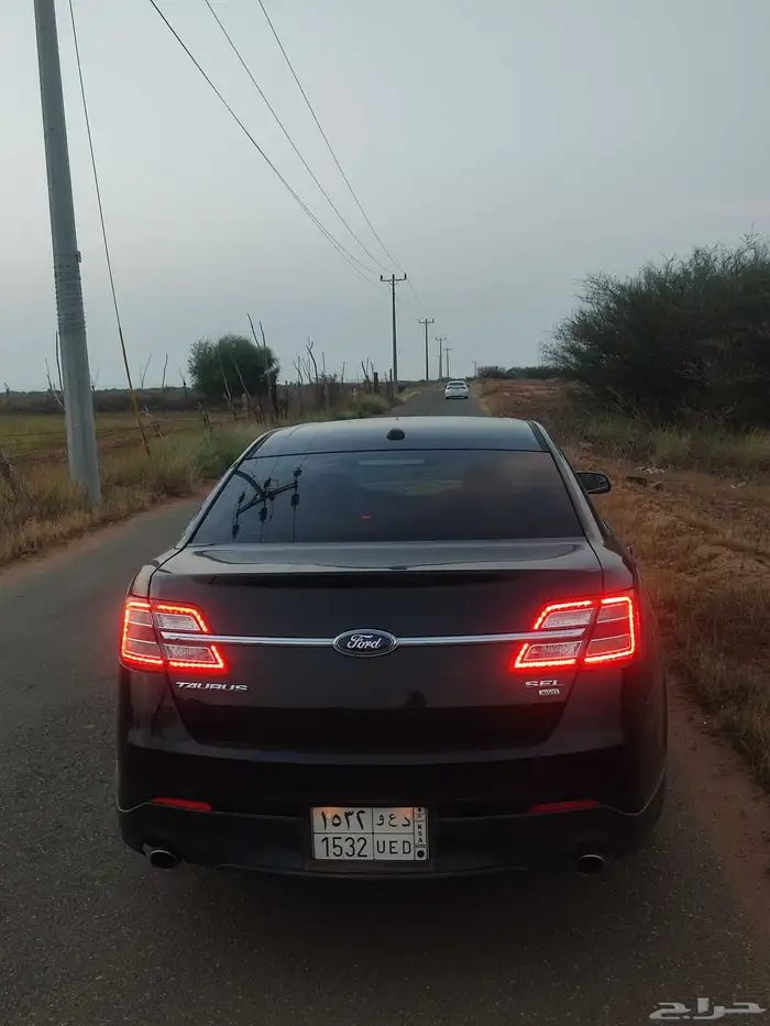 توريس 2013 1