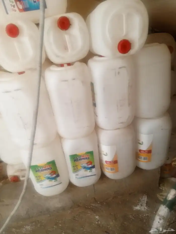 جركل فيري فارغ 0