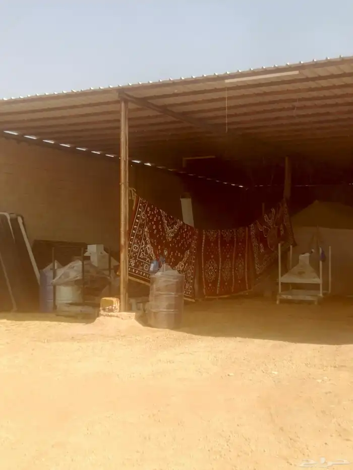 لدينا خيام وبيوت شعرابيض وفرشات ومشبات ودورات مياه ومسلزمات 6