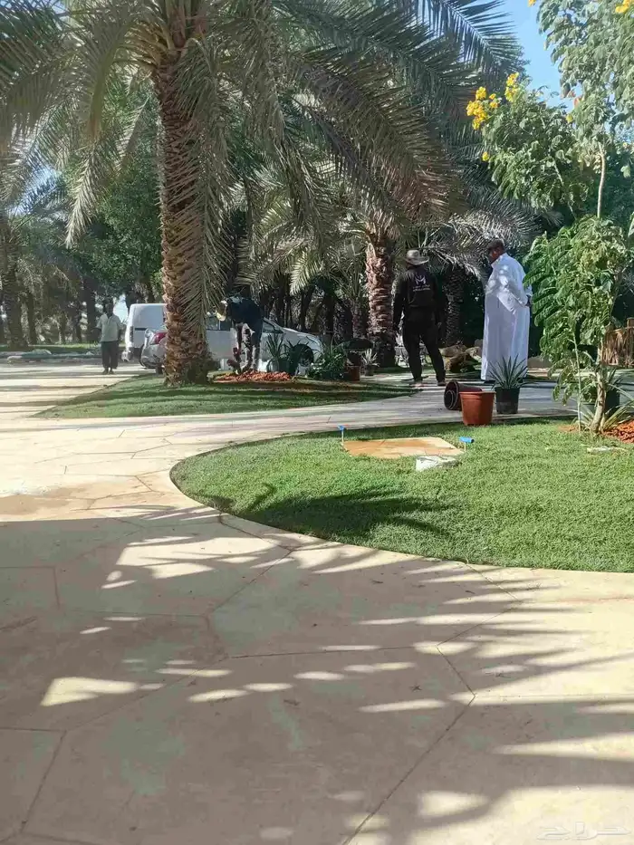 بسم الله ما شاء اللهثيل طبيعي سي الفين (C2000) صافي ونقي على 1