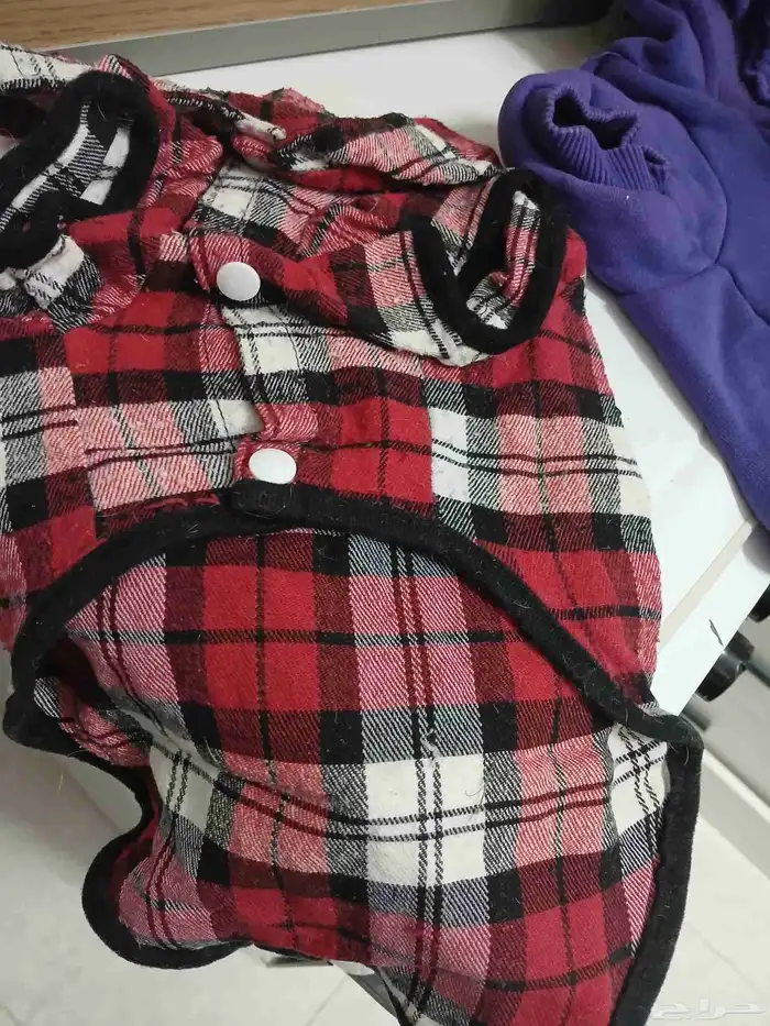 كل ادوات القطط المعروضه ب50 ريال 5