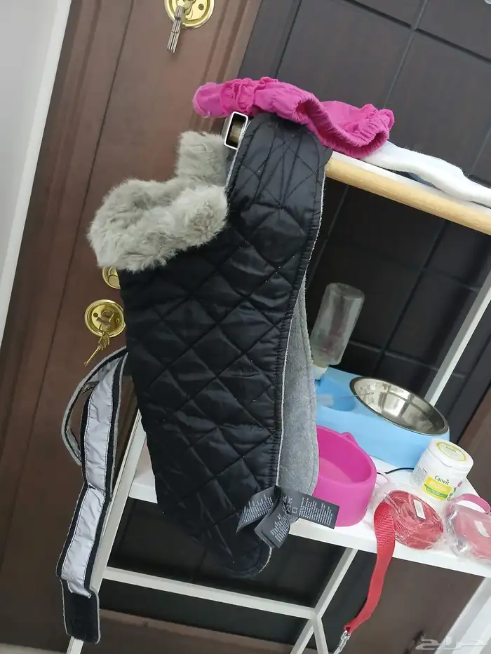 كل ادوات القطط المعروضه ب50 ريال 2