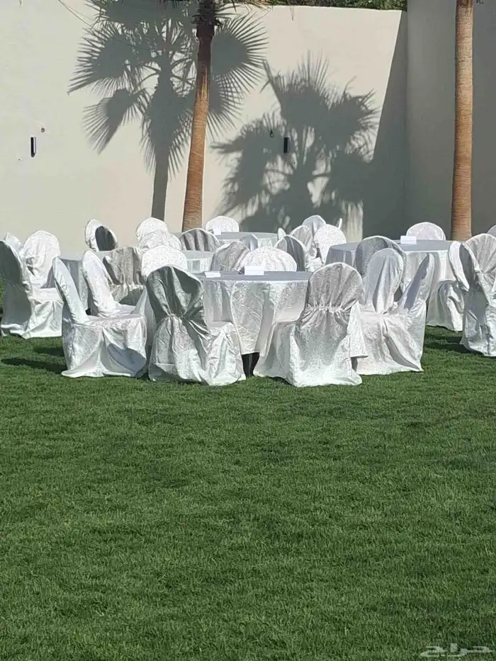 تأجير كراسي وفرش طاولات طعام كراسي مخمل 4