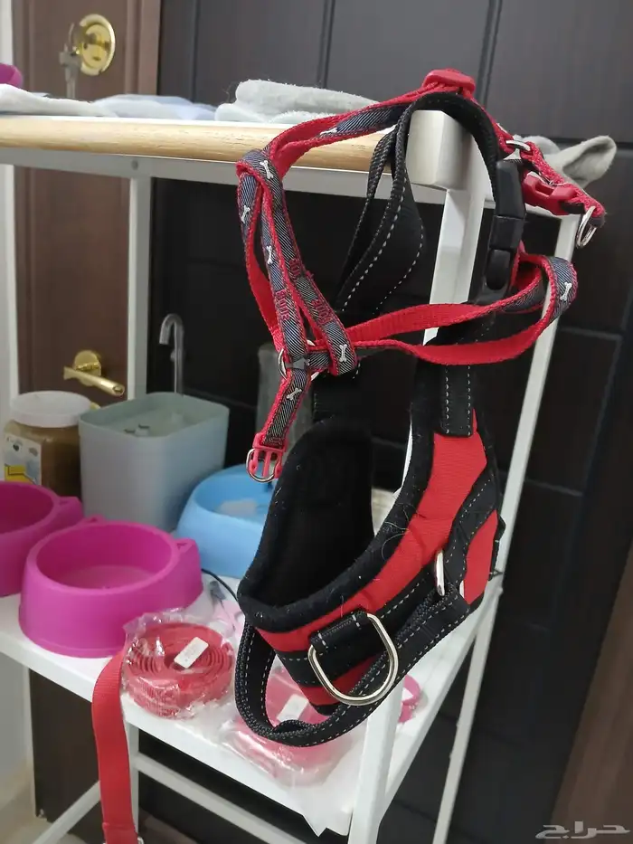 كل ادوات القطط المعروضه ب50 ريال 3