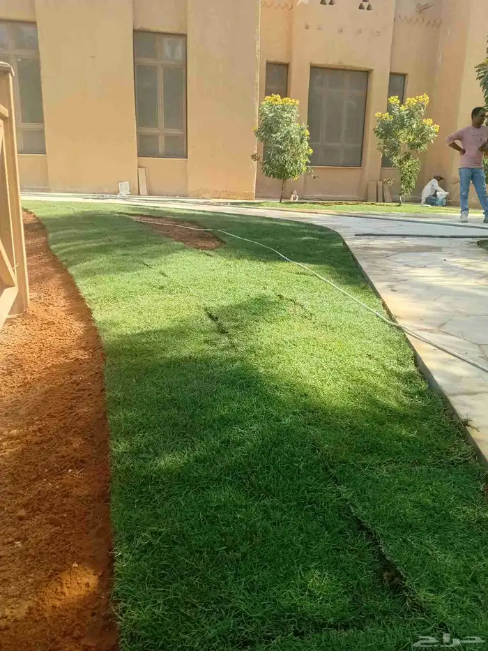 بسم الله ما شاء اللهثيل طبيعي سي الفين (C2000) صافي ونقي على 3