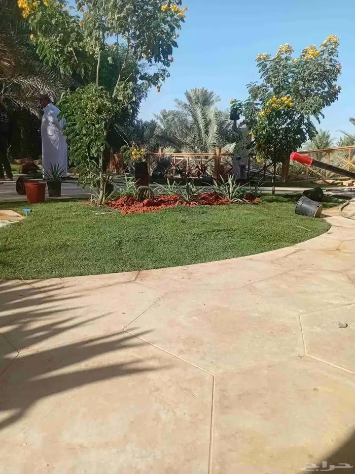 بسم الله ما شاء اللهثيل طبيعي سي الفين (C2000) صافي ونقي على 0