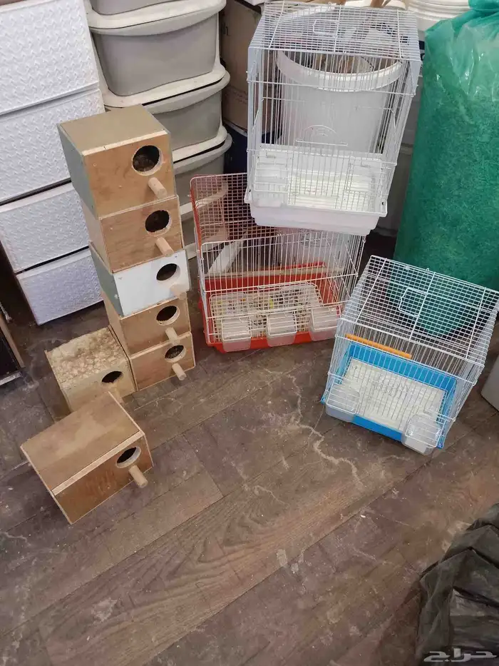 للبيع اقفاص وبياضات 1