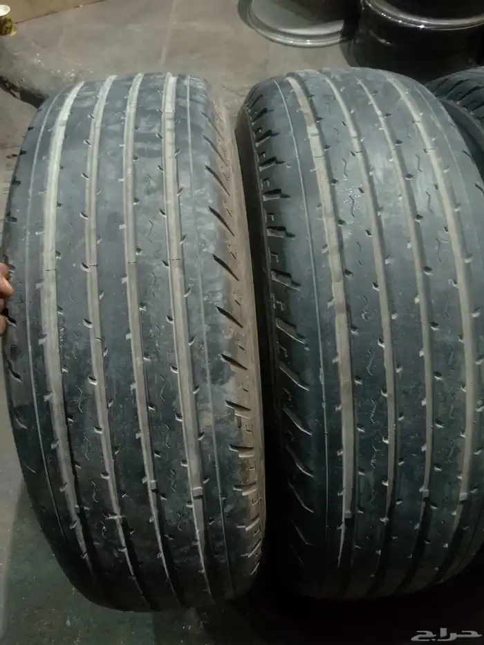 كفرات شواهين ريدنز 9