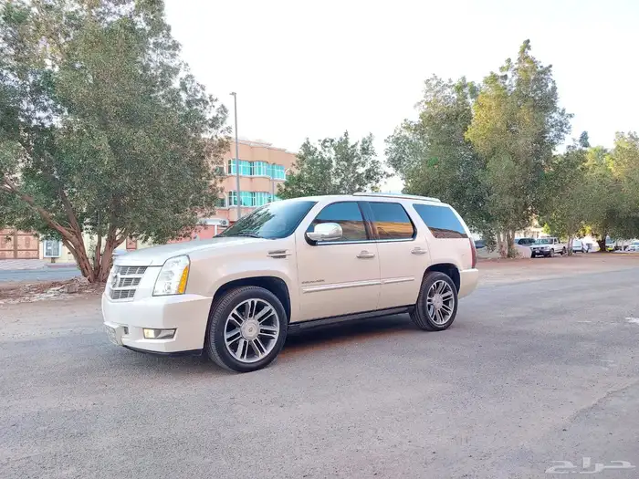 كدلك 2013 للبيع 4