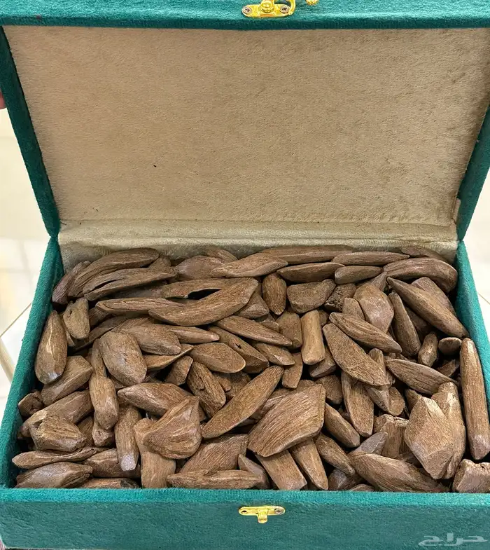 عود المروكي الفاخر 0