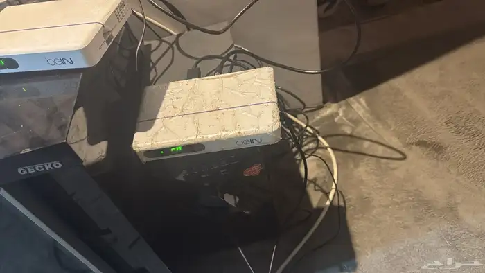 بين سبورت مصري 1