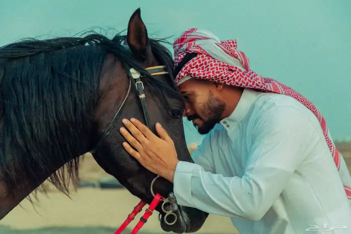 مصور جوال ومتخصص بتصوير مقاطع ريلز 0