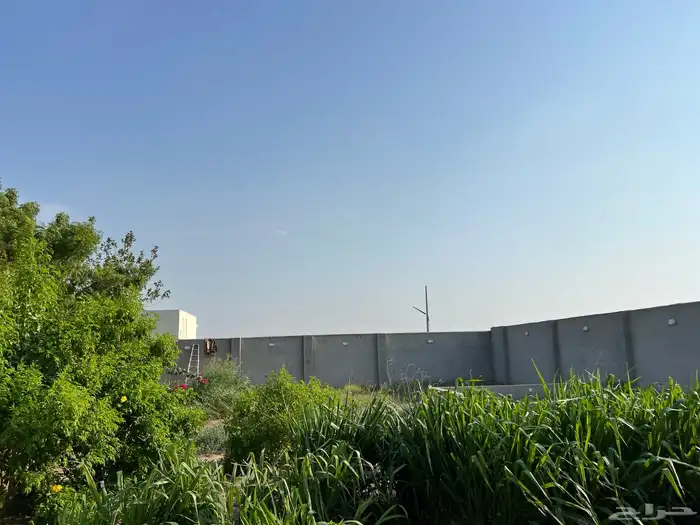 مشروع دواجن للتقبيل وحوش للايجار 2