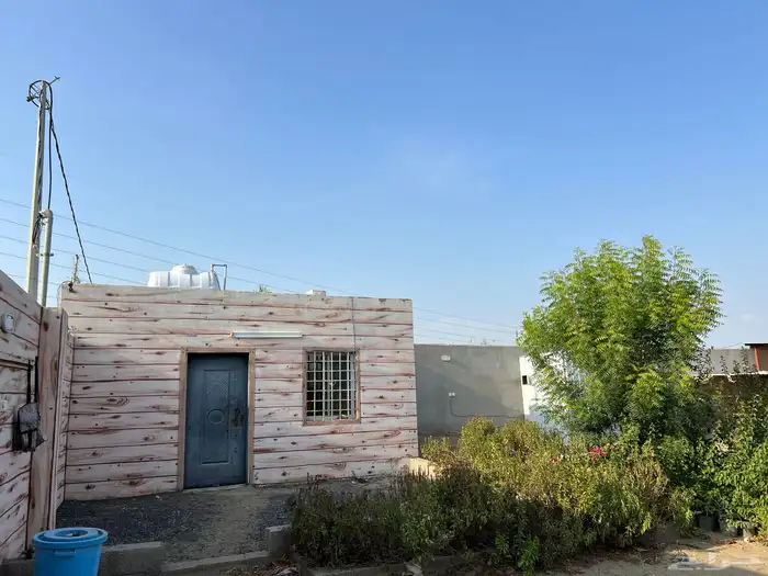 مشروع دواجن للتقبيل وحوش للايجار 0