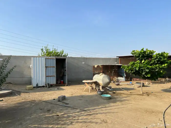 مشروع دواجن للتقبيل وحوش للايجار 3
