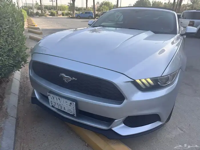 الرياض 1