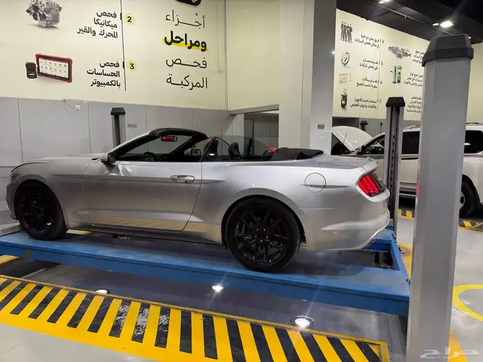 الرياض 4