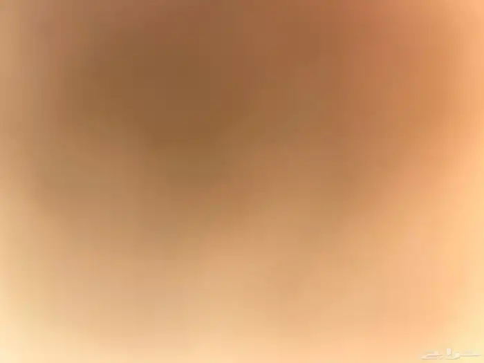 ابي ملسقة ابيه مدون فلوس 0