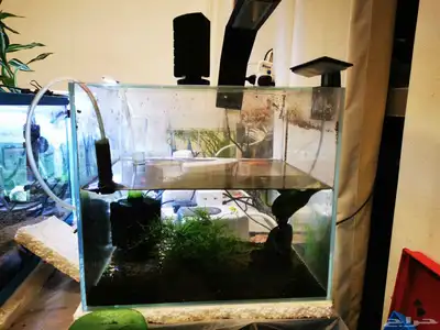 Aquarium and Fishes index