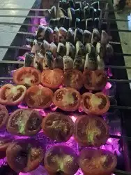 مشويات خارجية شوي بالموقع حفلات 0