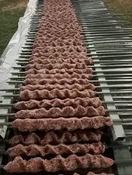 مشويات خارجية شوي بالموقع حفلات 1