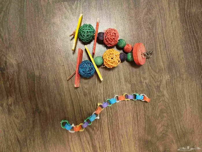 قفص عصفور مستخدم شهر نظيف 2