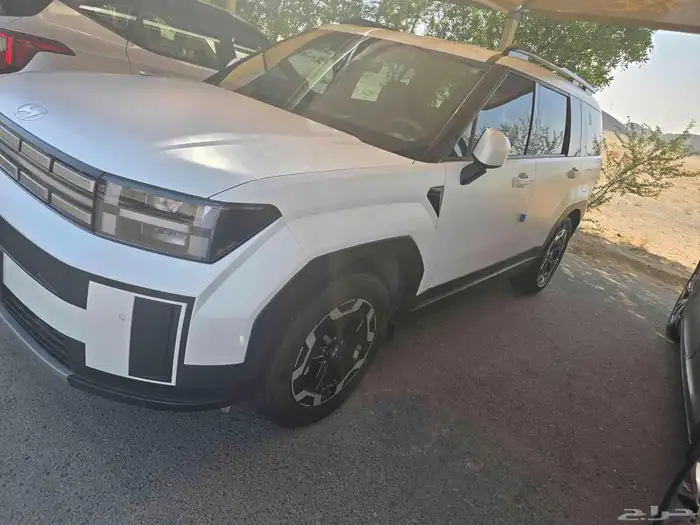 سنتافي 2024 1