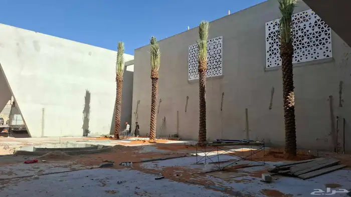 توريد وزرعه جميع انواع النخيل 3