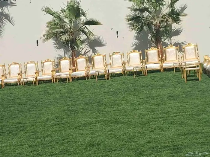 تأجير كراسي وفرش طاولات طعام كراسي مخمل 0