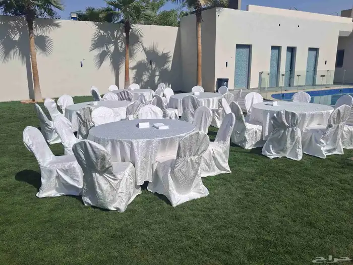 تأجير كراسي وفرش طاولات طعام كراسي مخمل 2