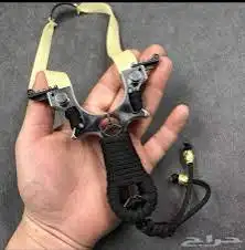 أبغالي نبيله قويه بسعر زين 0