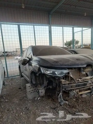 رينو كوليوس 2019 2