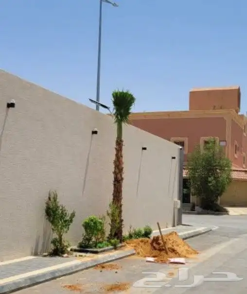 نخل وشنطني زينه 4