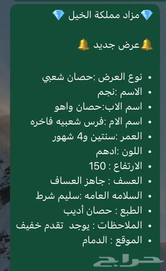 حصان 0