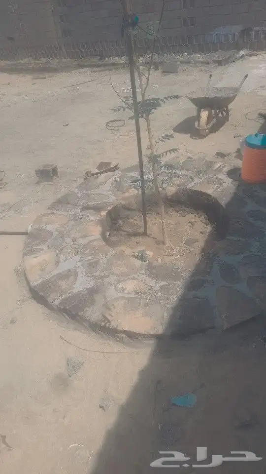 معلم حجر جلسات رباريب 0