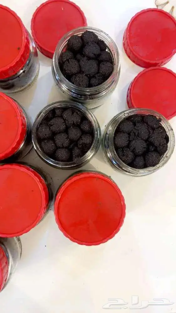 بخور دوسري ماكي 2