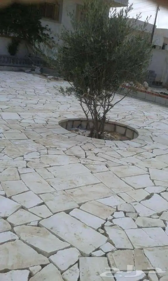 توريد حجر الرياض 1