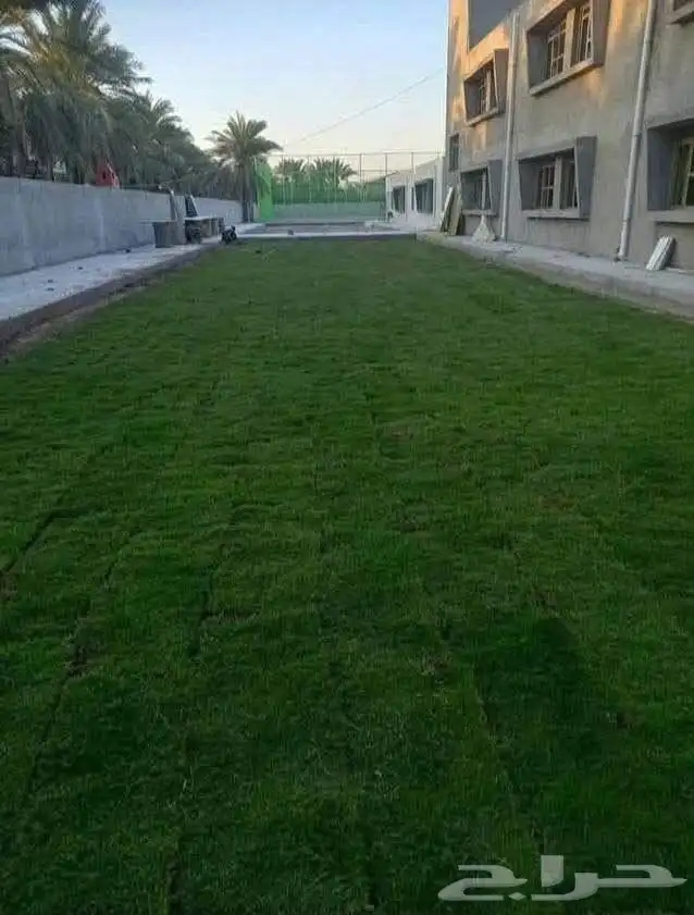 ثيل طبيعي سي2000 1