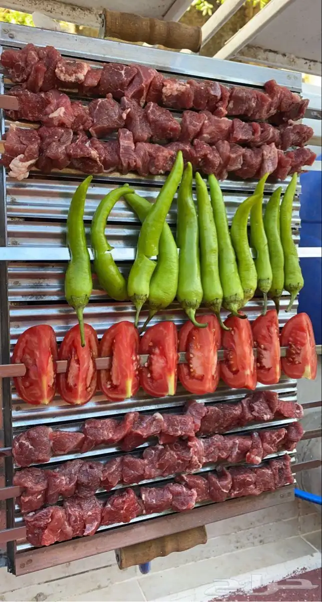 حفلات شواء 6