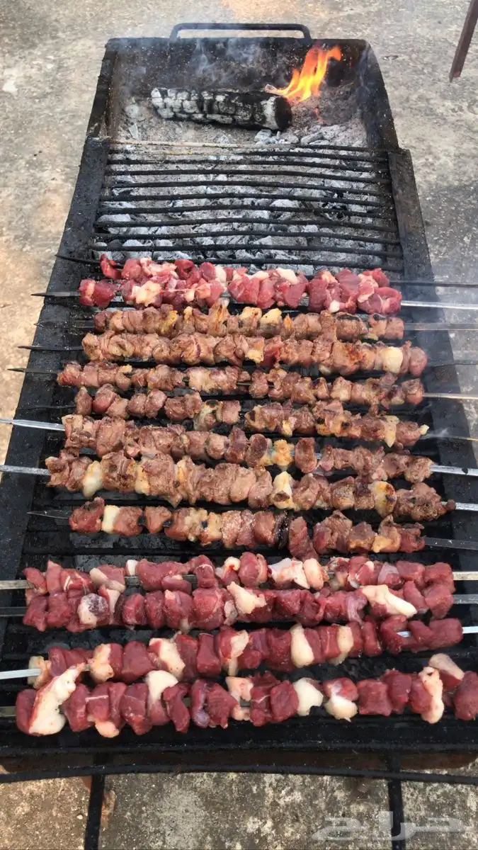حفلات شواء 9